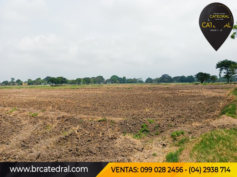 Hacienda de Venta en Guayaquil Ecuador sector Samborondon - La Delicia 