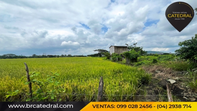 Sitio Solar Terreno de Alquiler en Cuenca Ecuador sector Vía a Salitre- Pueblo los Lojas