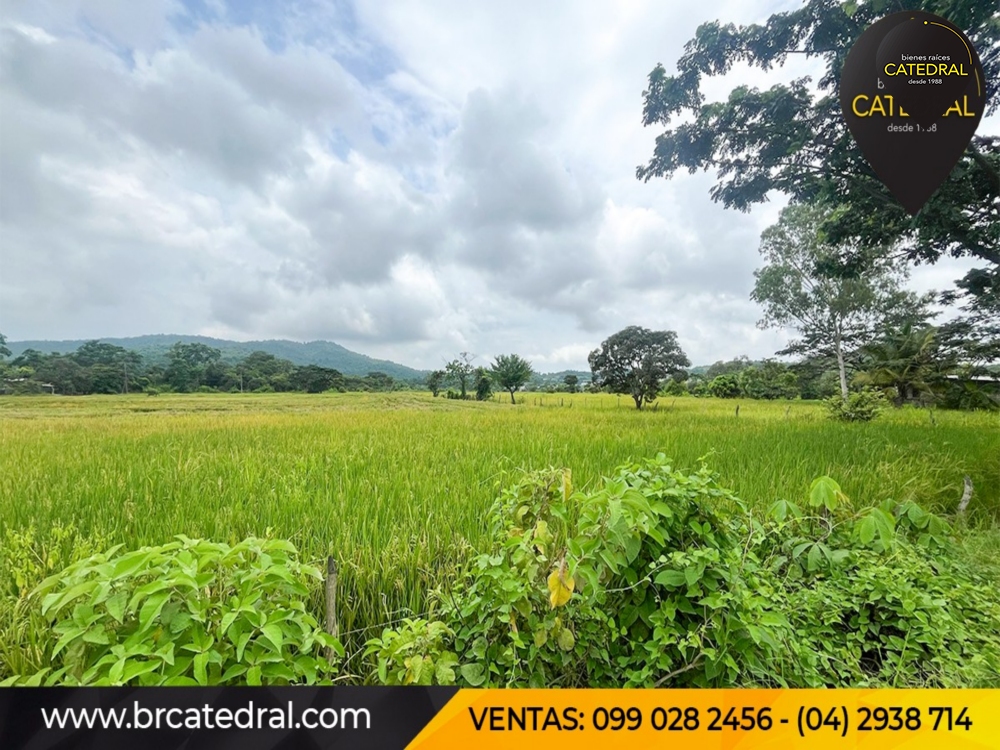 Terreno de Venta en Guayaquil Ecuador sector Las Lojas - Daule