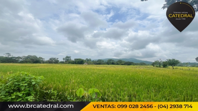 Sitio Solar Terreno de Venta en Cuenca Ecuador sector Las Lojas - Daule