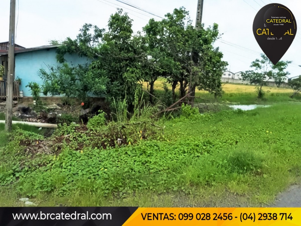 Terreno de Venta en Guayaquil Ecuador sector Salitre