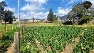 Terreno de Venta en Cuenca Ecuador sector SAN JOAQUIN