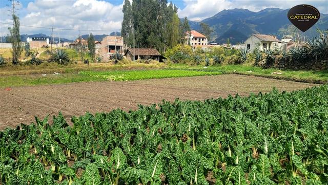 Sitio Solar Terreno de Venta en Cuenca Ecuador sector SAN JOAQUIN