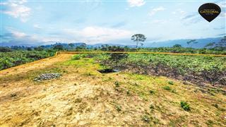 Terreno de Venta en Cuenca Ecuador sector Tamarindo