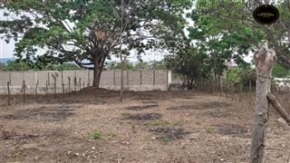 Sitio de Venta en Guayaquil Ecuador sector Tiffany 1- Vía a la Costa