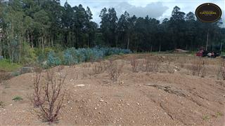 Terreno de Venta en Cuenca Ecuador sector Ochoa Léon