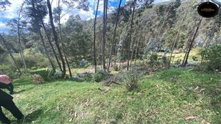 propiedad en venta