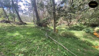 Terreno de Venta en Cuenca Ecuador sector Calusarin - Challuabamba - El Tablon