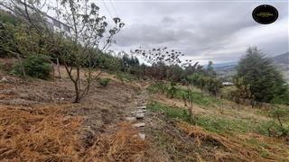 Nave Industrial de Venta en Cuenca Ecuador sector Paccha