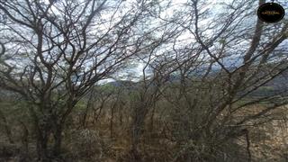 Terreno de Venta en Cuenca Ecuador sector Yunguilla - Lacay Bajo