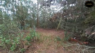 Terreno de Venta en Cuenca Ecuador sector Tarqui