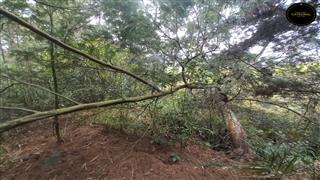 Terreno de Venta en Cuenca Ecuador sector Tarqui