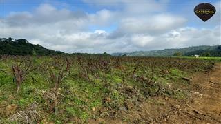 Hacienda de Venta en Cuenca Ecuador sector Naranjal