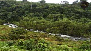 Hacienda de Venta en Cuenca Ecuador sector Naranjal