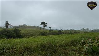 Hacienda de Venta en Cuenca Ecuador sector Naranjal