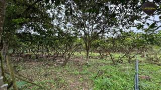 Hacienda de Venta en Cuenca Ecuador sector Naranjal