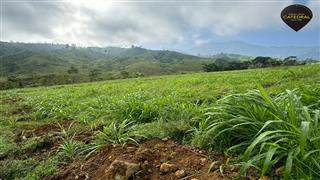 Hacienda de Venta en Cuenca Ecuador sector Naranjal