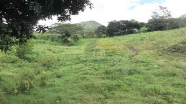 Sitio Solar Terreno de Venta en Cuenca Ecuador sector Cercaloma - Yunguilla